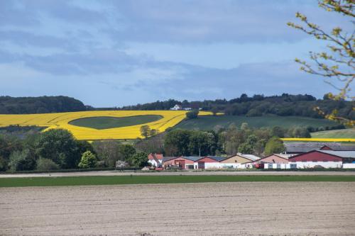 1-Teglvaerksgarden-11