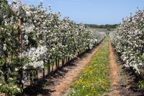 1-Teglvaerksgarden-18